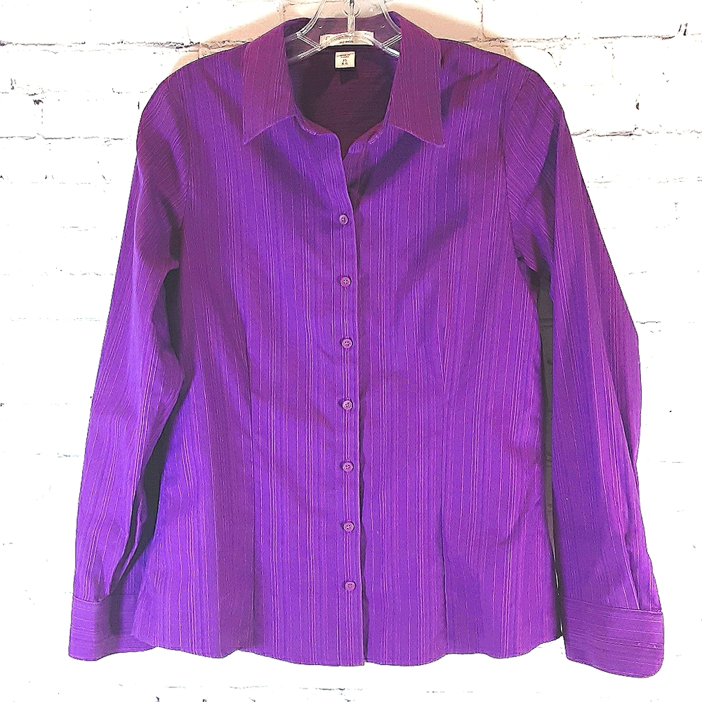 Coldwater Creek No Iron Long Sleeve Button Down Blouse XS